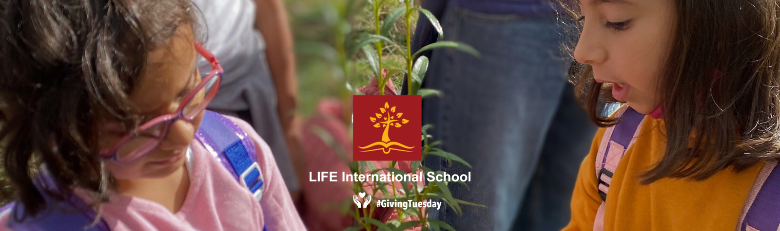 Una temporada de gratitud: GivingTuesday